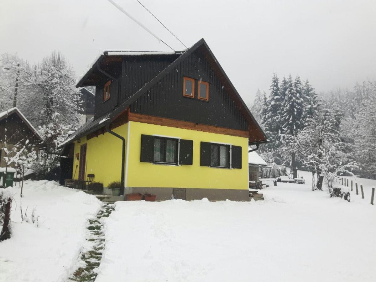Kuca Za Odmor Forest Dream U Blizini Rijeke Kupe Plesce Eksteriør billede