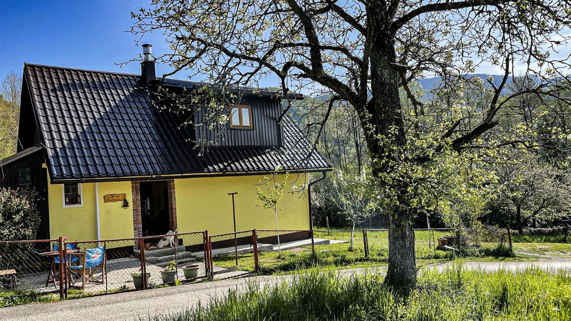 Kuca Za Odmor Forest Dream U Blizini Rijeke Kupe Plesce Eksteriør billede