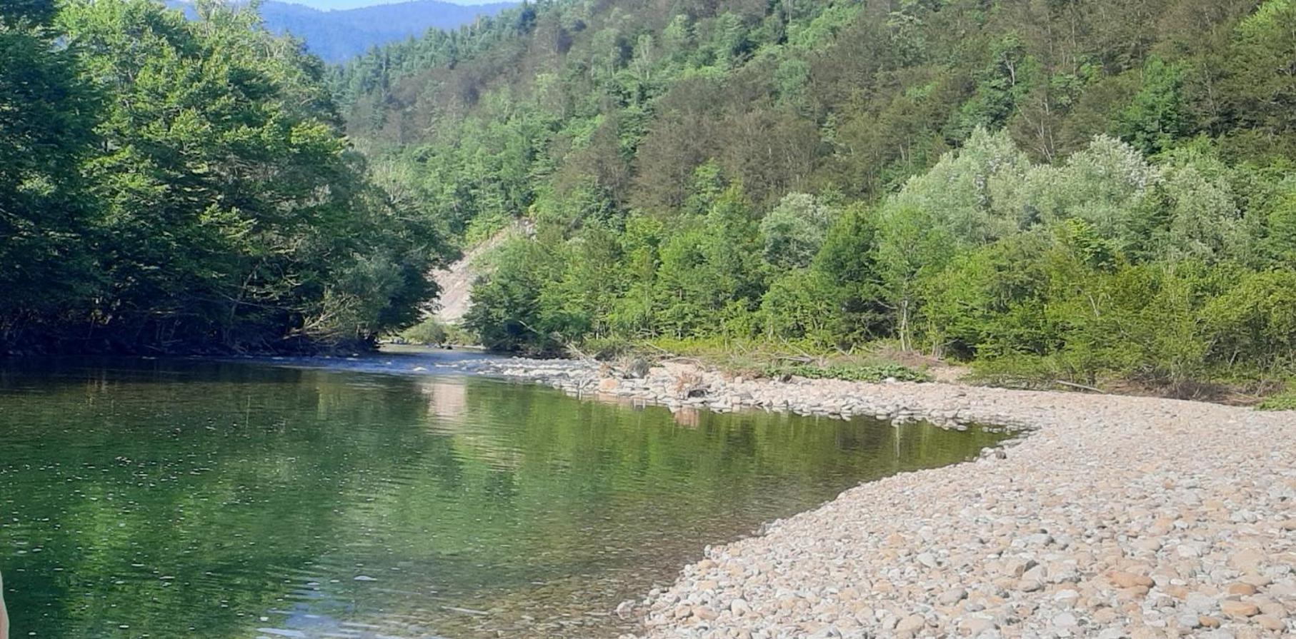 Kuca Za Odmor Forest Dream U Blizini Rijeke Kupe Plesce Eksteriør billede